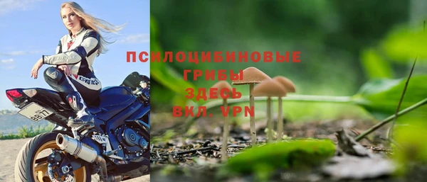 трава Осташков