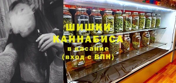 тгк Пестово