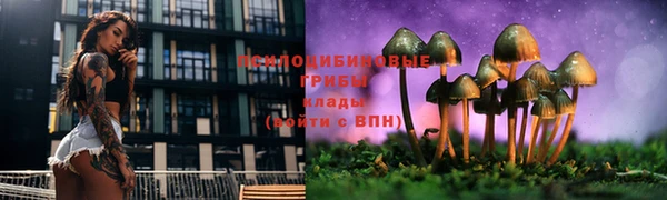 трава Осташков
