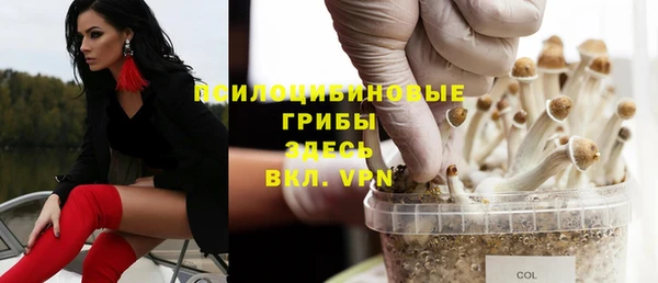тгк Пересвет