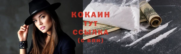 тгк Пестово
