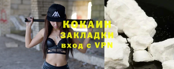 тгк Пересвет