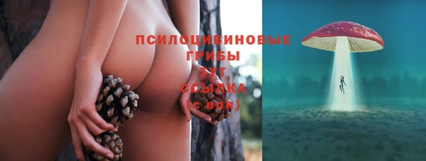 тгк Пересвет