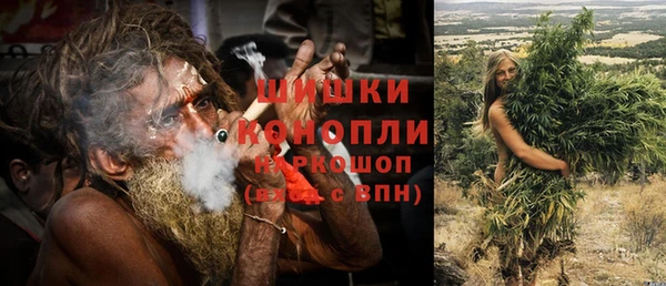 молекула духа Осинники