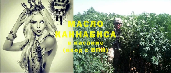 молекула духа Осинники