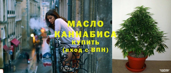 молекула духа Осинники