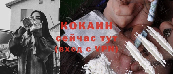 молекула духа Осинники