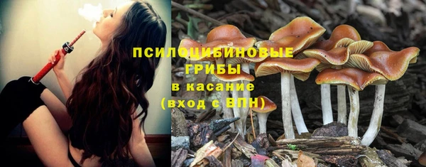 молекула духа Осинники