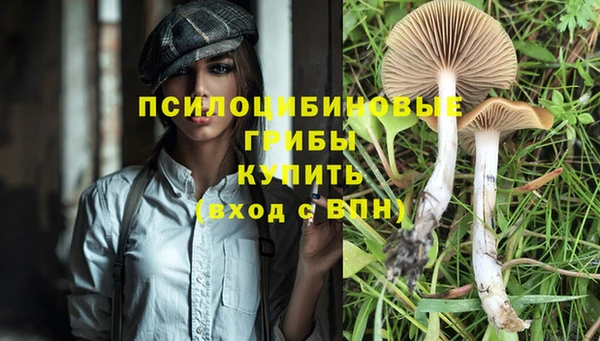 PSILOCYBIN Остров