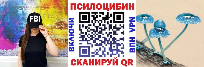 купить наркотики цена  МЕГА рабочий сайт  Псилоцибиновые грибы ЛСД  Чернушка 