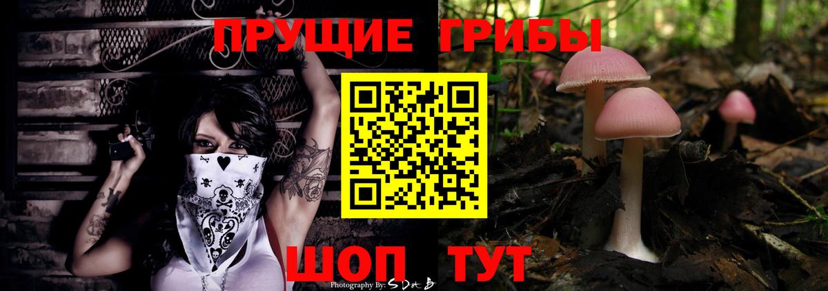 Чернушка  где продают наркотики  Вход с VPN  Псилоцибиновые грибы Psilocybe  Галлюциногенные грибы MAGIC MUSHROOMS 