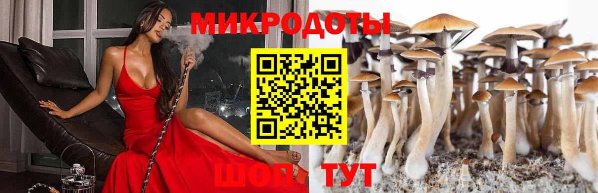 Галлюциногенные грибы Cubensis Чернушка
